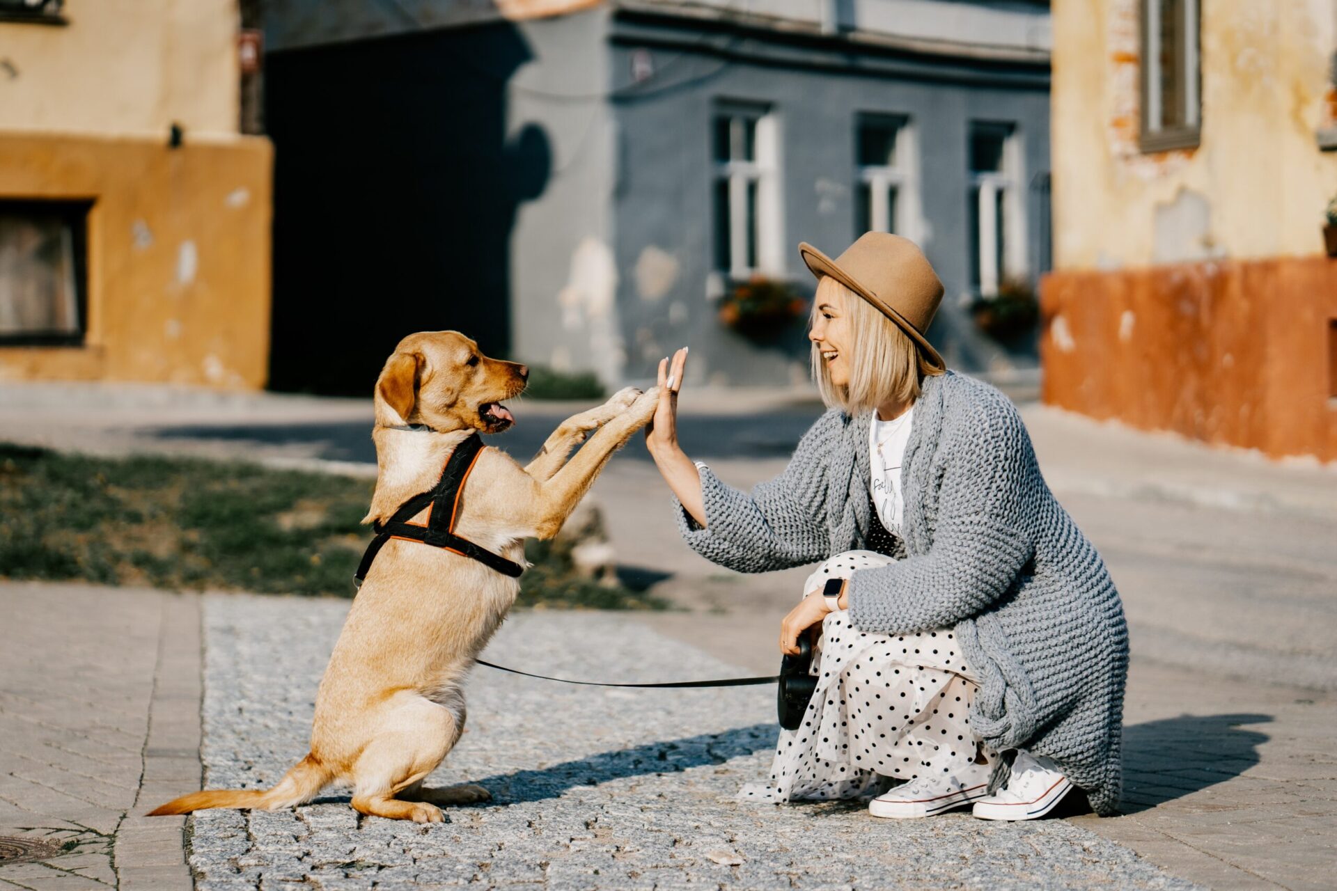 девушка с собакой