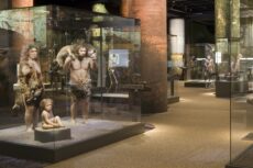 Неандертальцы в Шведском музее естественной истории